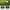 Dual-Turf Golf Mat,Golf Hitting Mats Practice Outdoor Indoor Golf Training Swing Chipping Mat
