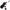 2 Wheels Golf Trolley, 2 Wheels Golf Buggy, Golf Push Carts Aluminum Alloy Golf Trolley
