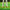 High Quality Professional Thickening Golf Hitting Mat for Indoor Outdoor,Tri-Turf Practice Mat,Golf Training Aids Mat