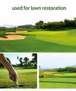 Fashionable Stainless Steel Golf Divot Tool – Premium Metal Green Repair Fork for Golf Course